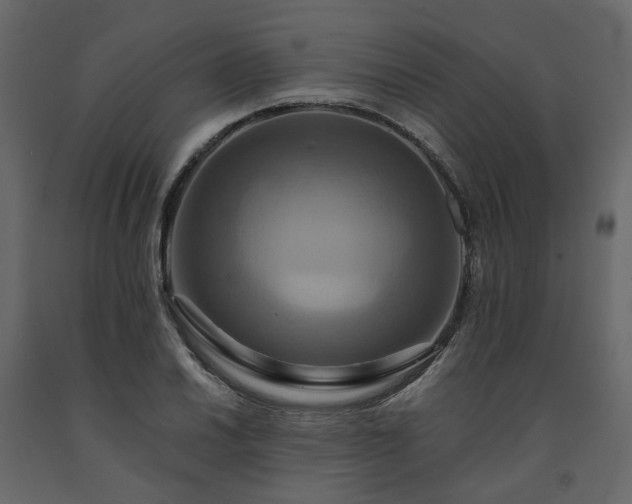 X0000091541030200708241729