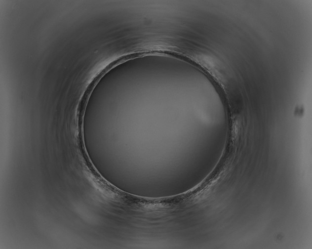 X0000091541031200708241729