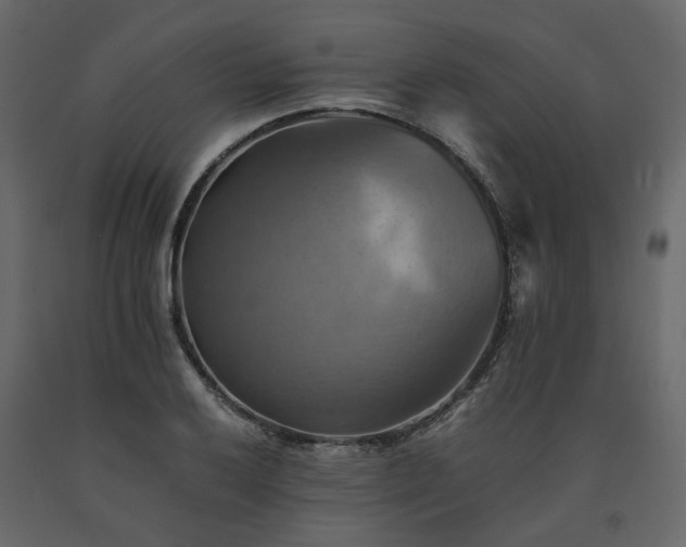 X0000091541032200708241729