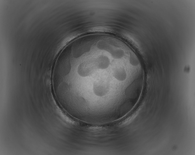 X0000091541033200708241729