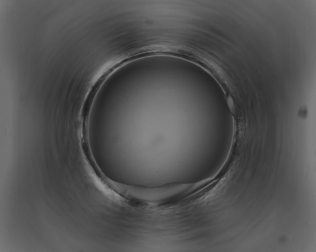 X0000091541034200708241729