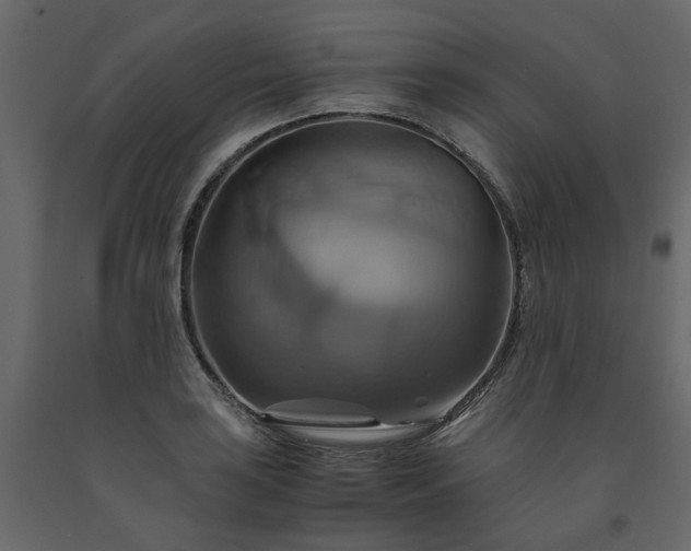 X0000091541035200708241729