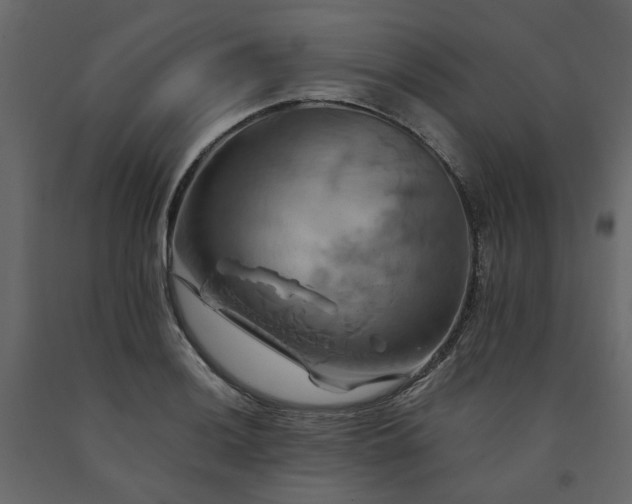 X0000091541036200708241729