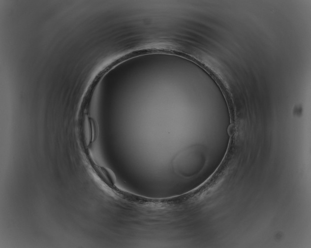 X0000091541037200708241729
