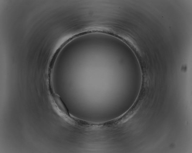 X0000091541038200708241729