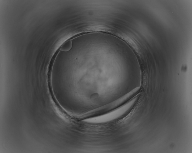 X0000091541039200708241729