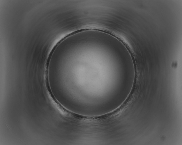 X0000091541040200708241729