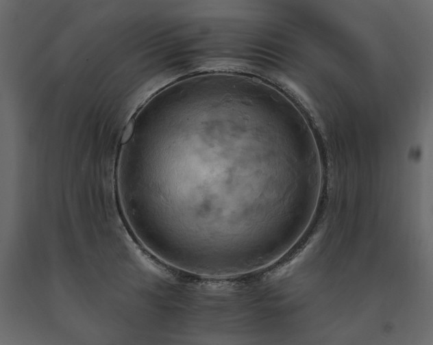 X0000091541041200708241729