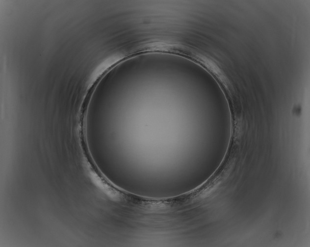 X0000091541042200708241729