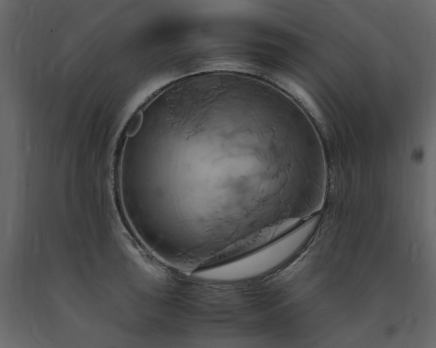 X0000091541043200708241729