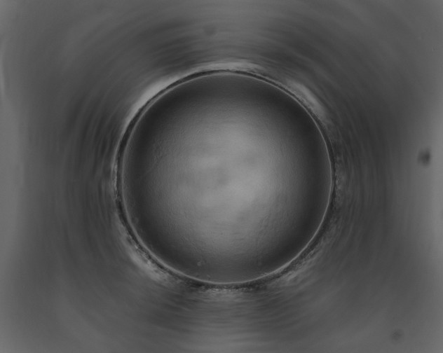 X0000091541044200708241729
