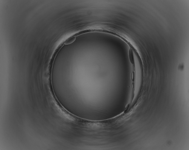 X0000091541045200708241729