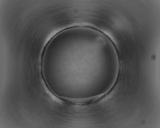 X0000091541046200708241729