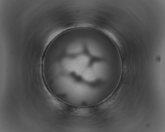 X0000091541047200708241729