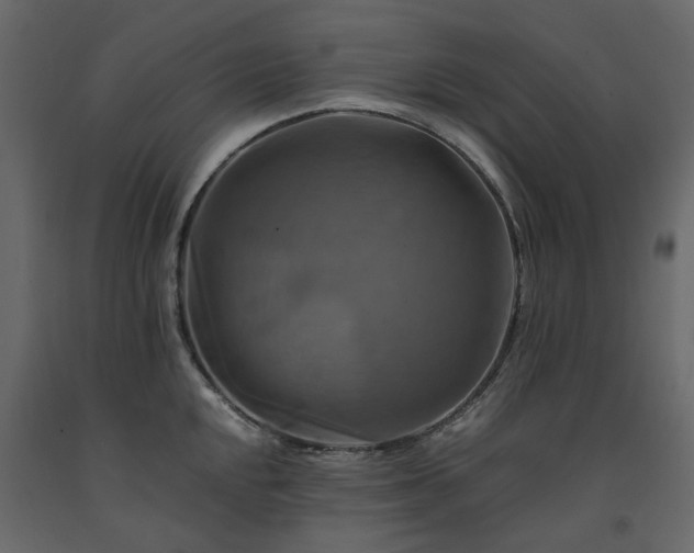 X0000091541048200708241729