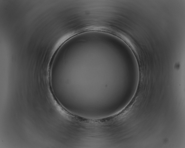 X0000091541050200708241729
