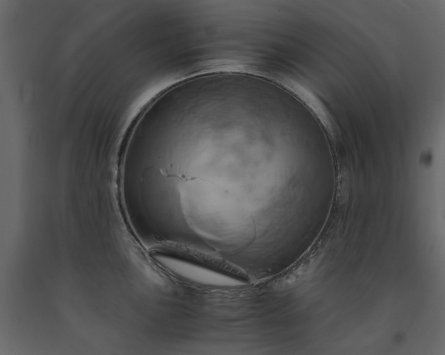 X0000091541051200708241729