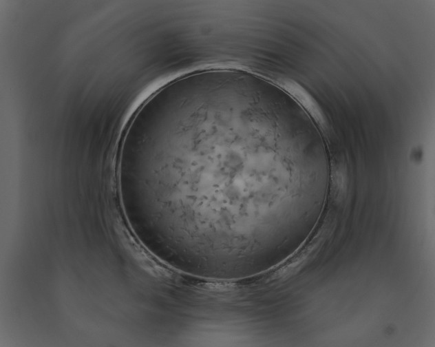 X0000091541052200708241729