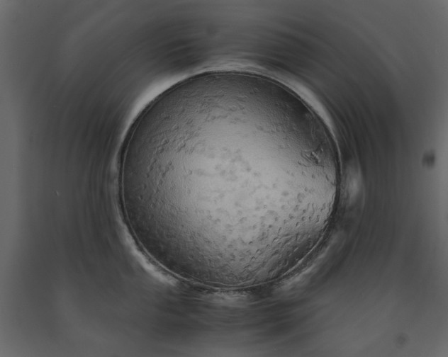 X0000091541053200708241729