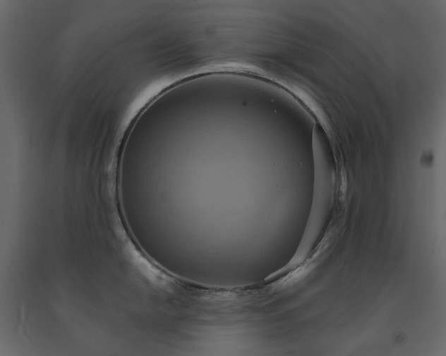 X0000091541054200708241729