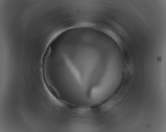 X0000091541055200708241729