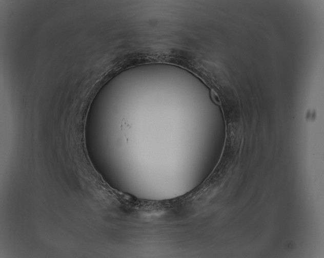 X0000091541057200708241729