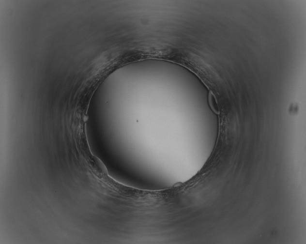 X0000091541058200708241729