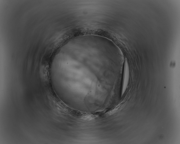 X0000091541059200708241729