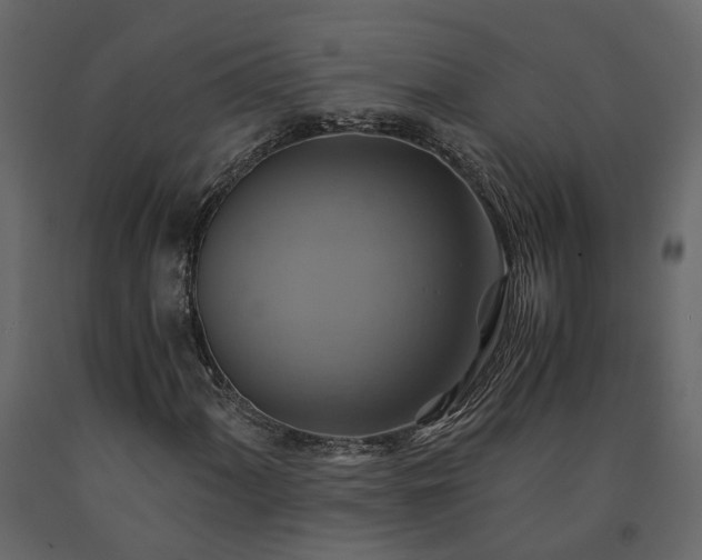 X0000091541060200708241729