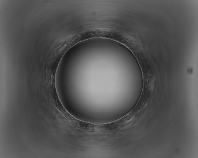 X0000091541061200708241729