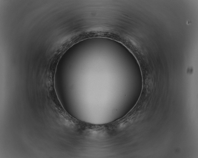 X0000091541062200708241728
