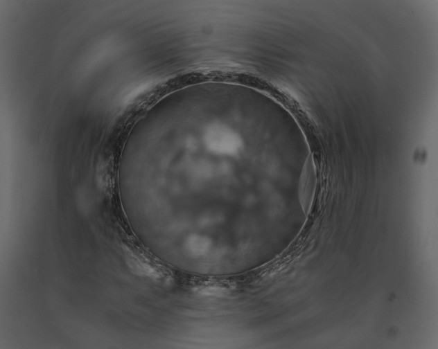 X0000091541063200708241728