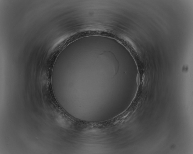 X0000091541064200708241728