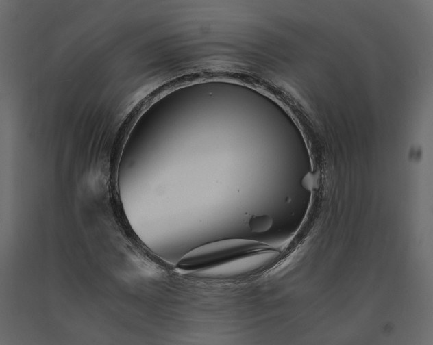 X0000091541065200708241728