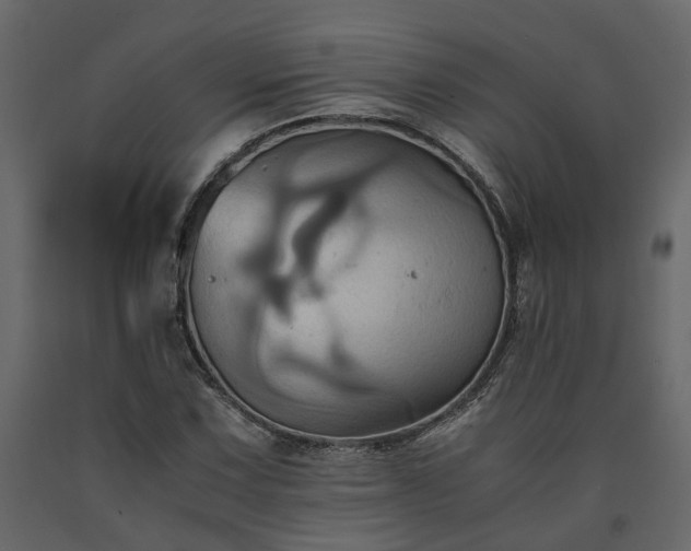 X0000091541067200708241728