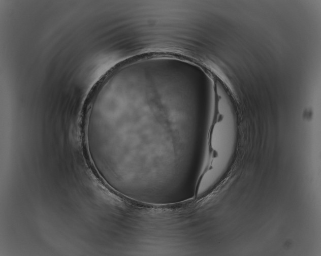 X0000091541068200708241728