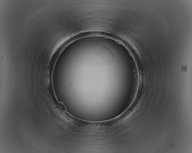 X0000091541069200708241728
