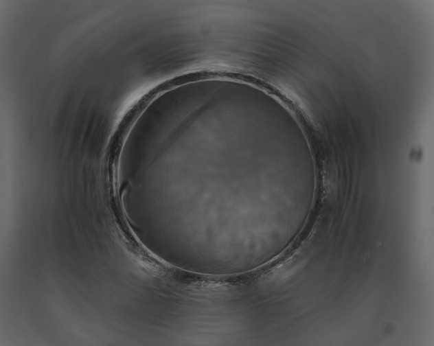 X0000091541070200708241728