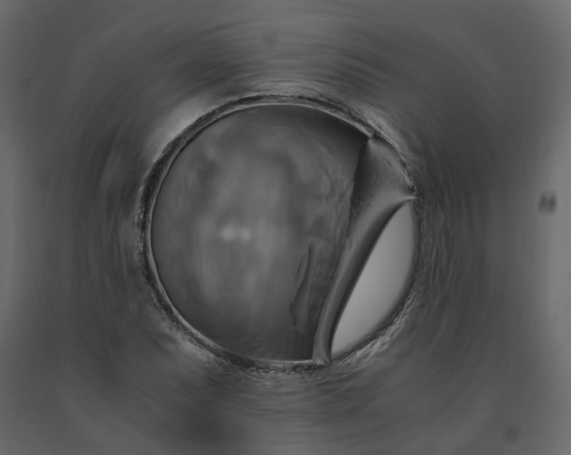 X0000091541071200708241728