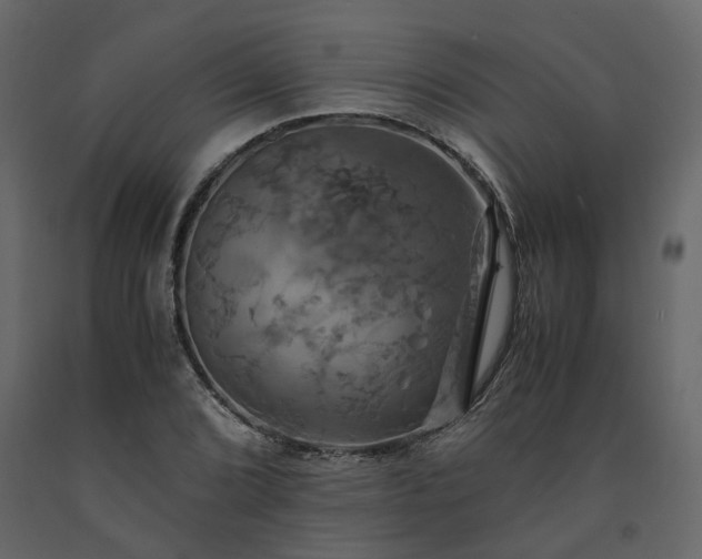 X0000091541072200708241728