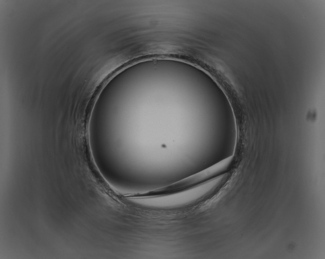 X0000091541073200708241728