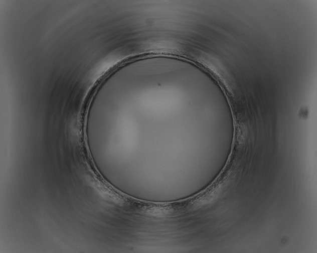 X0000091541074200708241728