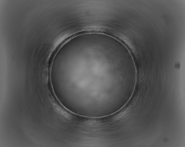X0000091541075200708241728