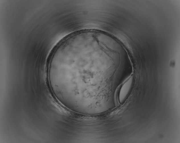 X0000091541076200708241728