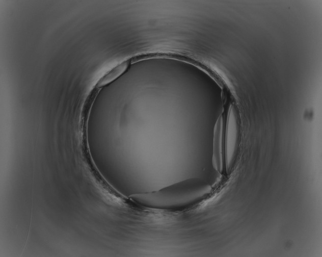 X0000091541077200708241728