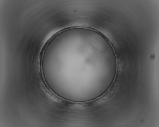 X0000091541078200708241728