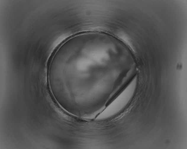 X0000091541079200708241728