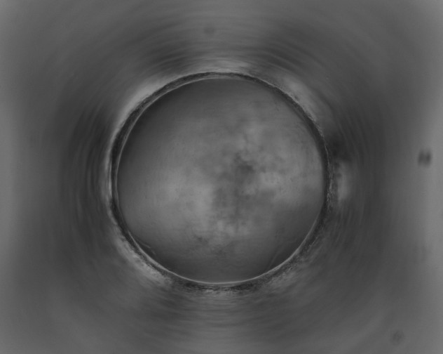 X0000091541080200708241728