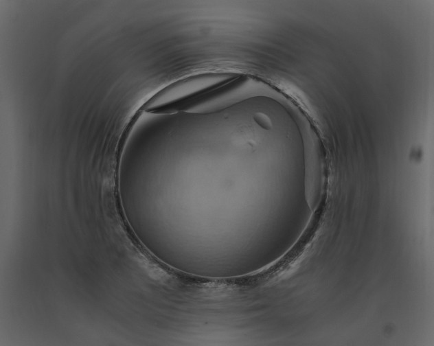 X0000091541081200708241728