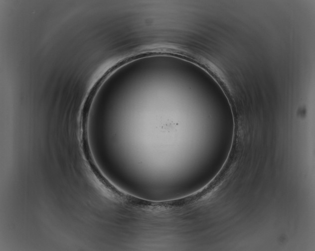 X0000091541082200708241728